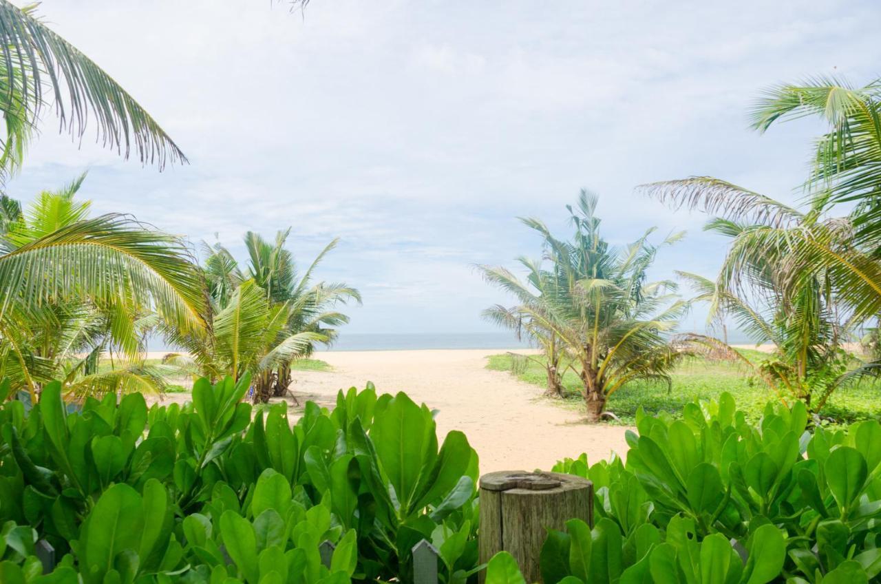 Zendara Hotel Negombo Eksteriør billede